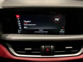 Stelvio 2.2 Turbodiesel 210 CV AT8 Q4 B-Tech - Immagine 19