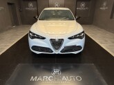 Stelvio 2.2 Turbodiesel 160 CV AT8 RWD Super - Immagine 1