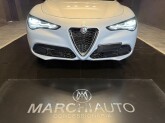 Stelvio 2.2 Turbodiesel 160 CV AT8 RWD Super - Immagine 23