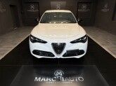 Stelvio 2.2 Turbodiesel 160 CV AT8 RWD Super - Immagine 1