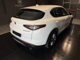 Stelvio 2.2 Turbodiesel 160 CV AT8 RWD Super - Immagine 4