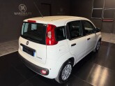Panda 1.0 FireFly S&S Hybrid - Immagine 4