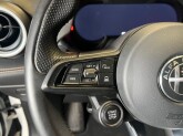 Tonale 1.6 diesel 130 CV TCT6 Veloce - Immagine 13