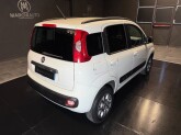Panda 1.3 MJT 4x4 Climbing Van 2 posti - AUTOCARRO - Immagine 4