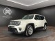 Renegade 1.6 Mjt 130 CV Limited - Immagine 0